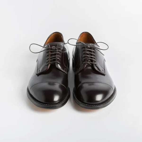 Men Alden Derby And Oxford Shoes* - 5666 - Derby Modified (Ergonomic) - Cordovan Color 8