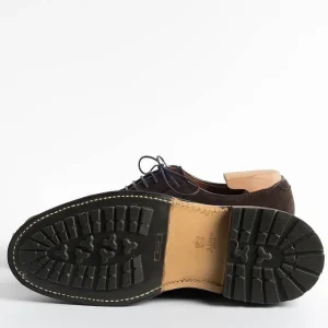 Men Alden Derby And Oxford Shoes* - M5402C - Dark Brown Suede Derby