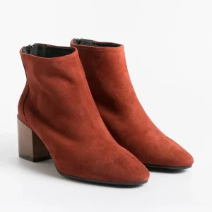 Women CAPPELLETTO 1948 Ankle Boots* - Lara3 Ankle Boot - Brick Suede