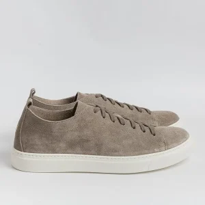 Men HENDERSON Sneakers* - Sneakers - Soul - Kudu Taupe