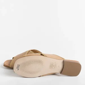 Women Pedro Miralles Mules* - Mules - 18051 - Camel